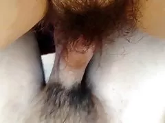Berbulu ayam
