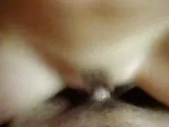 Panas
